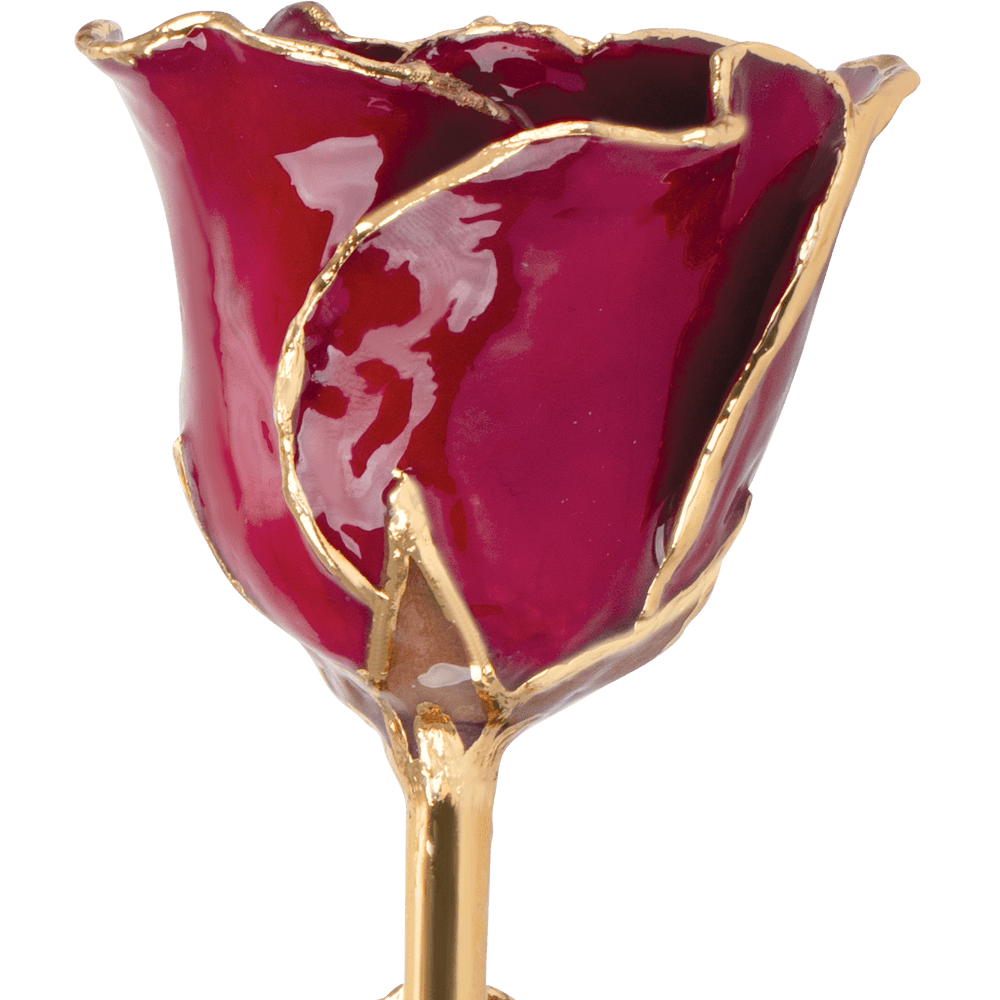 January Garnet Birthstone 24k Gold Dipped Rose