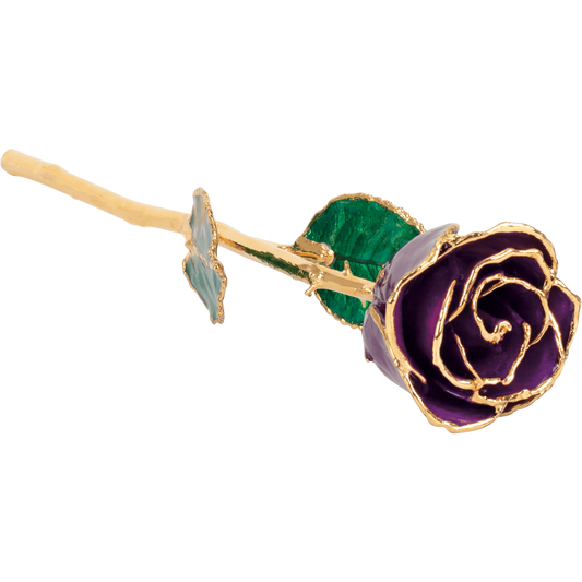 Purple 24k Gold Dipped Rose