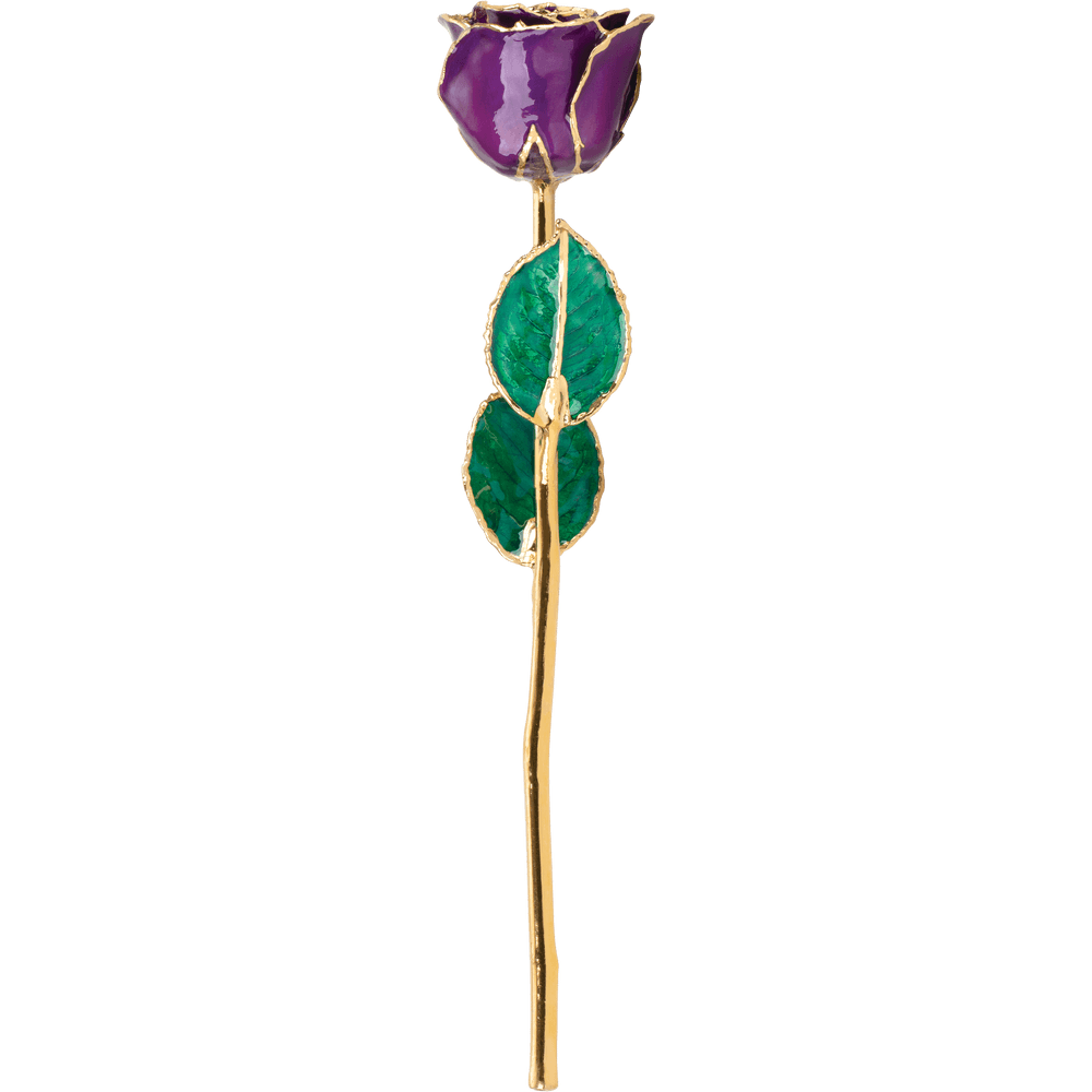 Purple 24k Gold Dipped Rose