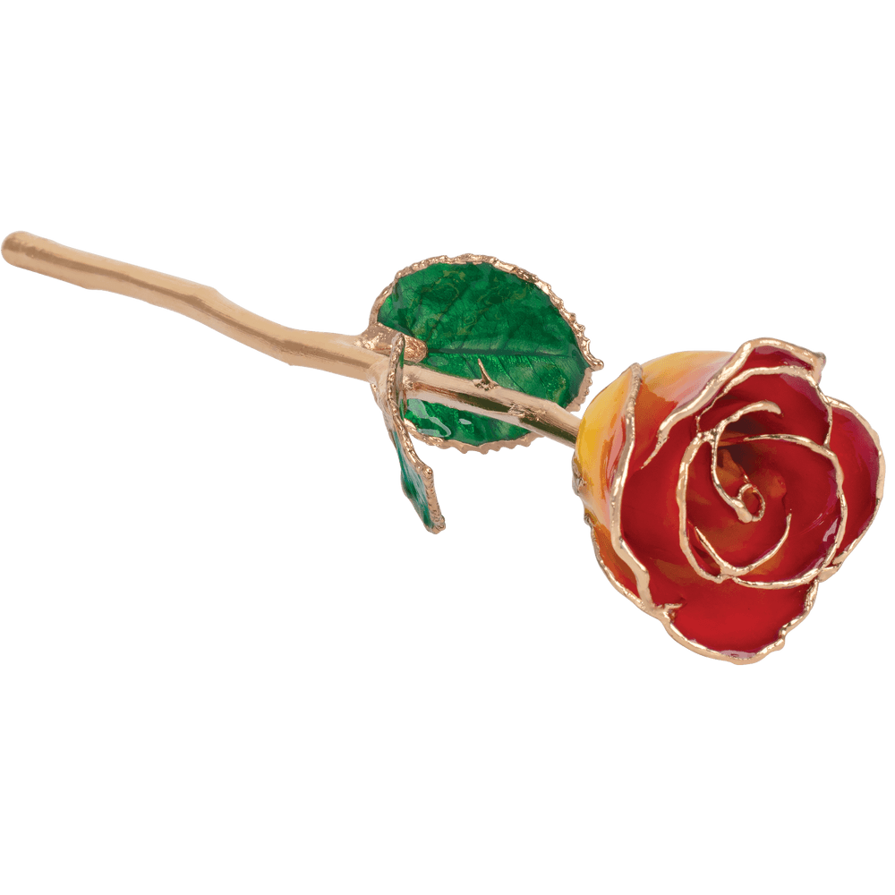 Sunset Yellow & Red 24k Gold Dipped Rose