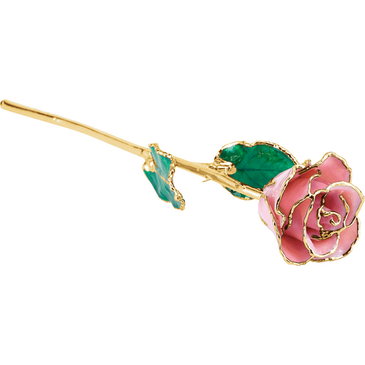 Pink Pearl 24k Gold Dipped Rose