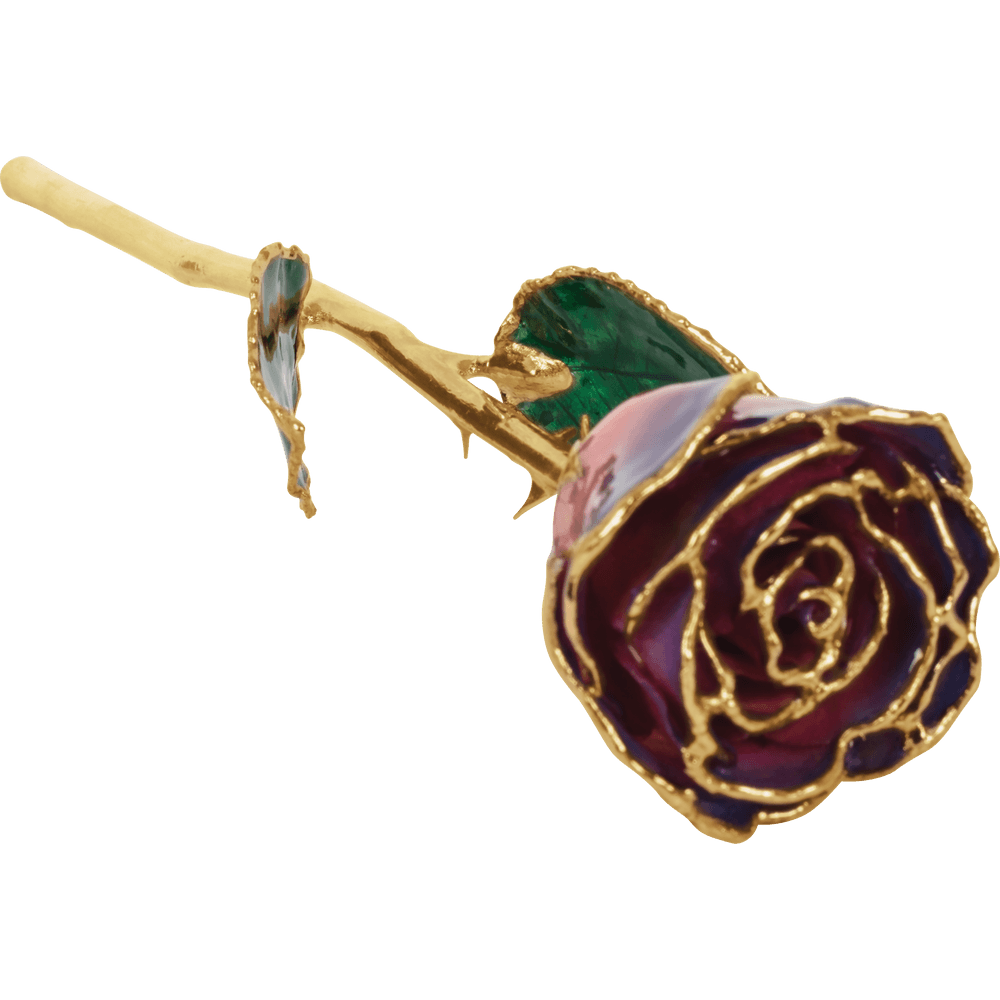 Purple & Pink 24k Gold Dipped Rose