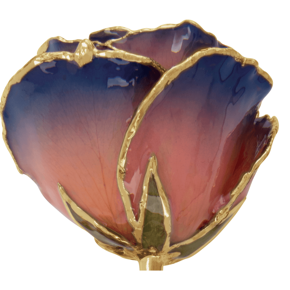 Purple & Pink 24k Gold Dipped Rose