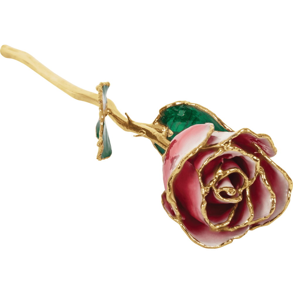 Frozen White & Red 24k Gold Dipped Rose