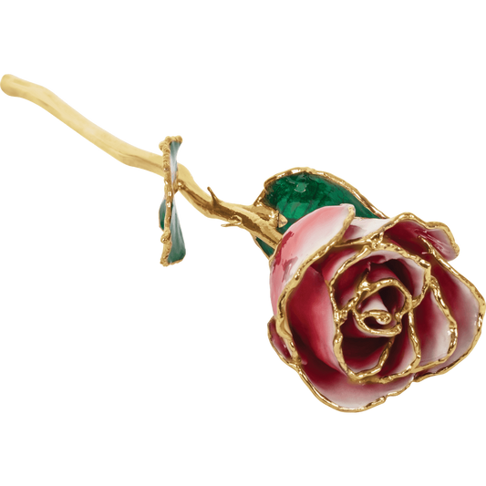 Frozen White & Red 24k Gold Dipped Rose