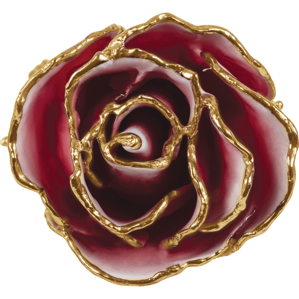 Frozen White & Red 24k Gold Dipped Rose