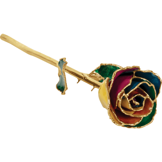 Rainbow 24k Gold Dipped Rose