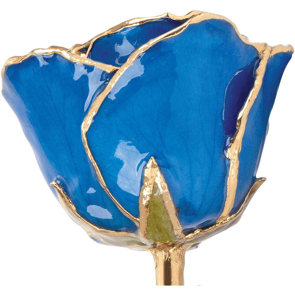 September Sapphire Birthstone 24k Gold Dipped Rose