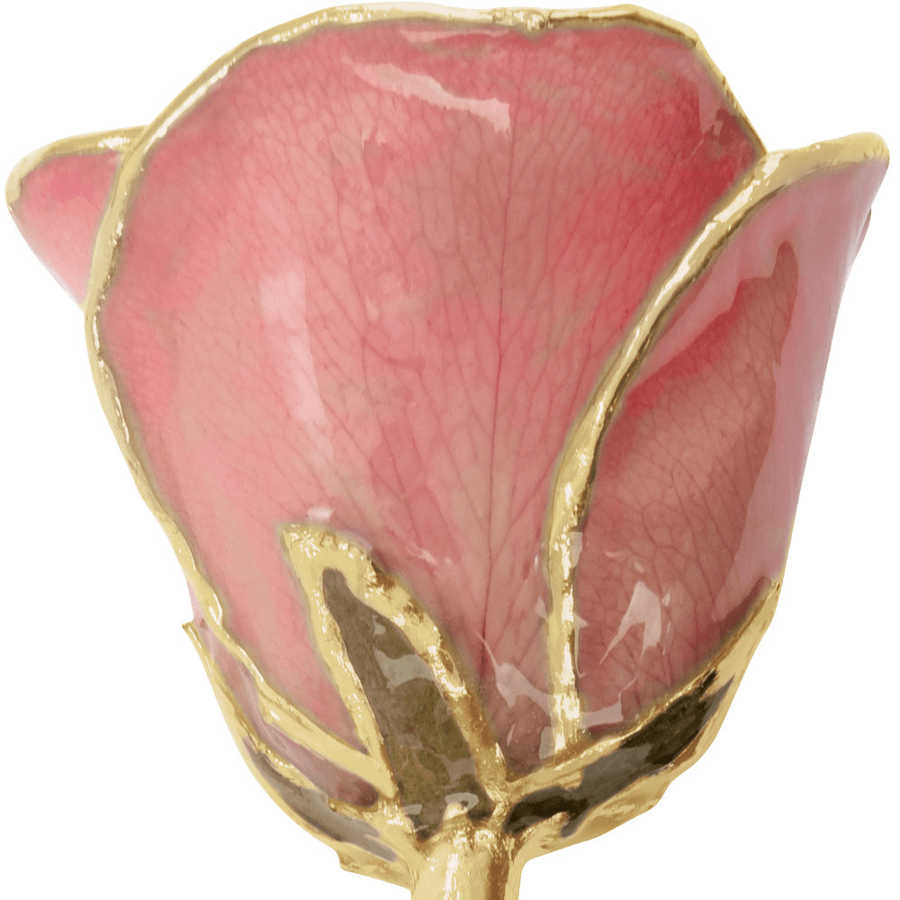 Pink 24k Gold Dipped Rose