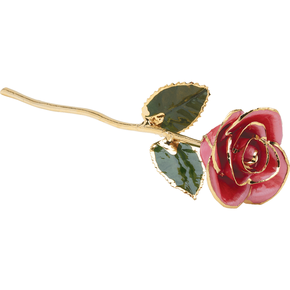 Pink 24k Gold Dipped Rose