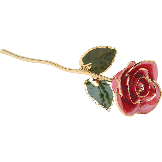 Pink 24k Gold Dipped Rose