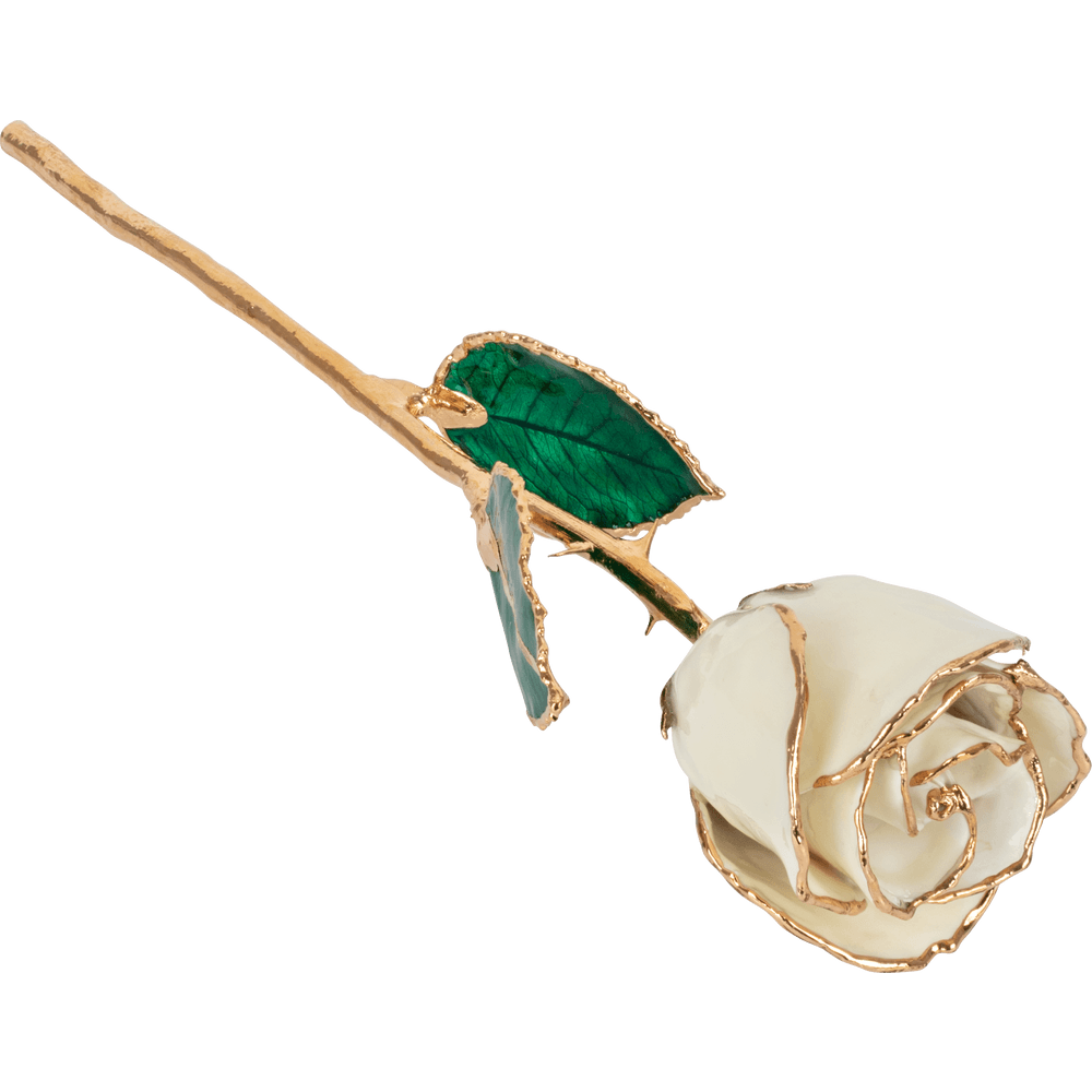 White 24k Gold Dipped Rose