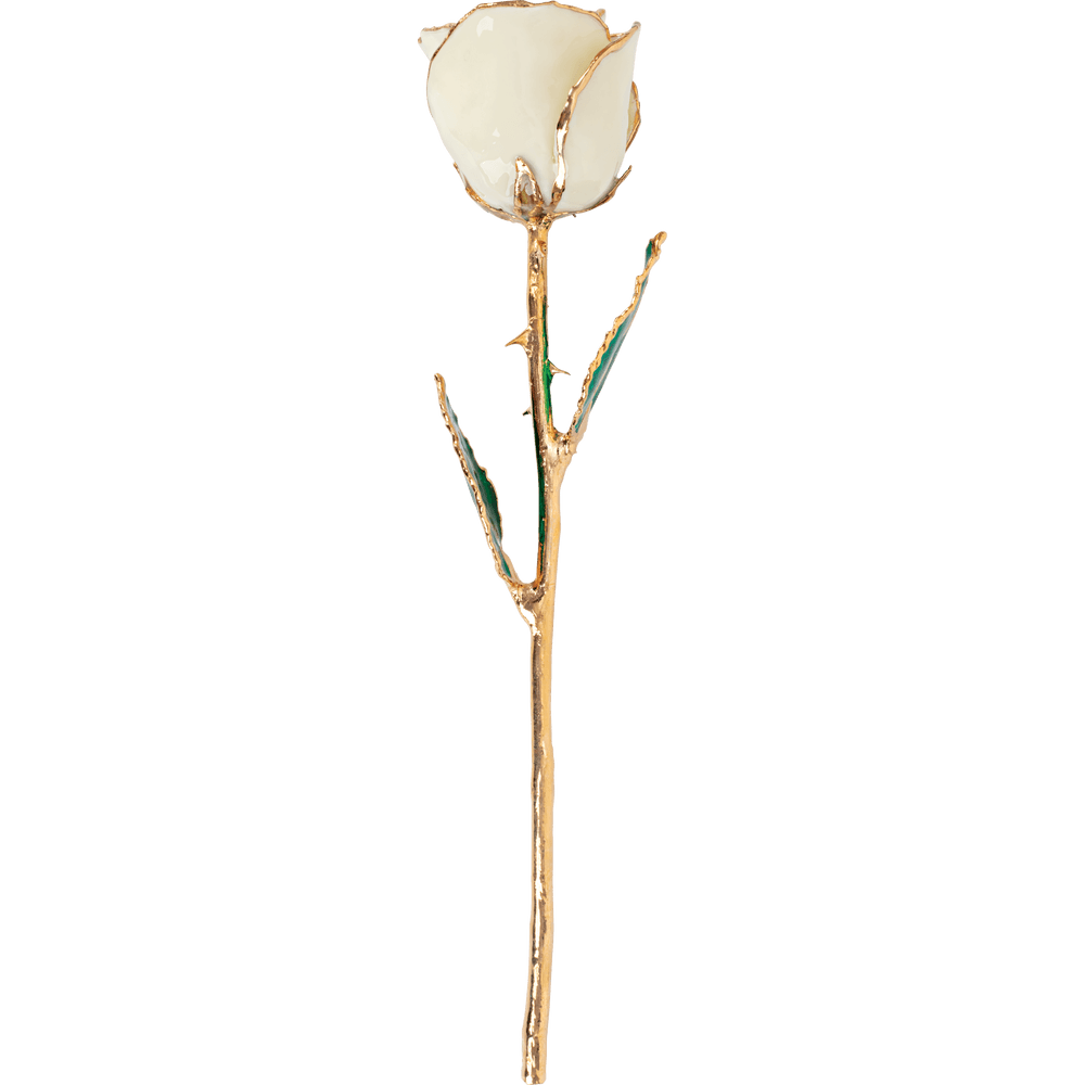 White 24k Gold Dipped Rose